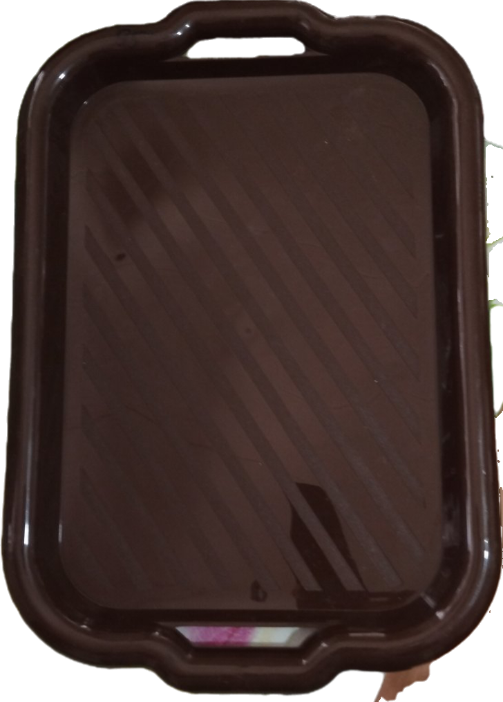 Піднос OST 40х28, пластиковий